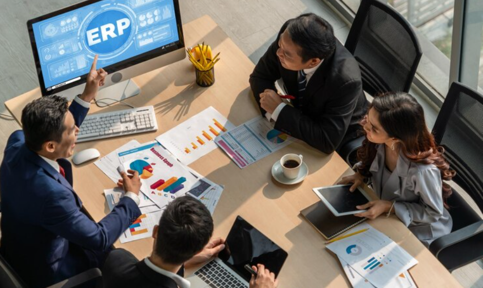 ERP Project Management Services